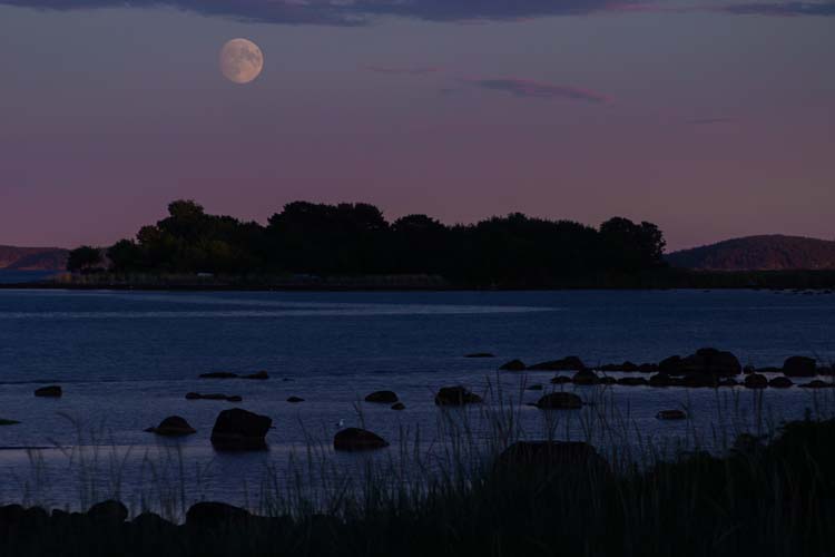 Moonshine
